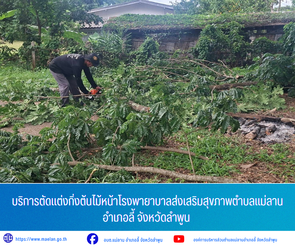 วันอังคารที่ 23 มิถุนายน 2569 เวลา 09.00 น. องค์การบริหารส่วนตำบลแม่ลาน โดย นายโสภณ มีมัง นายกองค์การบริหารส่วนตำบลแม่ลาน มอบหมายให้ นายเสาร์คำ แก้วปลูก รองนายกองค์การบริหารส่วนตำบลแม่ลาน พร้อมด้วย เจ้าหน้าที่องค์การบริหารส่วนตำบลแม่ลาน             บริการตัดแต่งกิ่งต้นไม้หน้าโรงพายาบาลส่งเสริมสุขภาพตำบลแม่ลาน  อำเภอลี้ จังหวัดลำพูน  _____________________________ -ขอขอบคุณภาพข่าวจาก :  รองนายกองค์การบริหารส่วนตำบลแม่ลาน -เเหล่งข่าว : องค์การบริหารส่วนตำบลแม่ลาน -ประชาสัมพันธ์ข่าว  : งานประชาสัมพันธ์ สำนักปลัดองค์การบริหารส่วนตำบลแม่ลาน -เว็บไซต์ : https://www.maelan.go.th -Facebook : https://www.facebook.com/saomaelan.maelan.7?mibextid=ZbWKwL -Youtube : https://youtube.com/@user-eq2cc4bc2f?si=EvKRe7B5IyUmlv8Z #องค์การบริหารส่วนตำบลแม่ลาน ???? 12/1 หมู่ 7 ตำบลแม่ลาน อำเภอลี้ จังหวัดลำพูน ????โทรศัพท์ สำนักงาน : 096 685 8480 ,0 5309 6174 ต่อ 10 - 16 ????อุบัติเหตุ โทร 1669  ฟรี /สายตรงรถฉุกเฉินองค์การบริหารส่วนตำบลแม่ลาน :081 473 6884